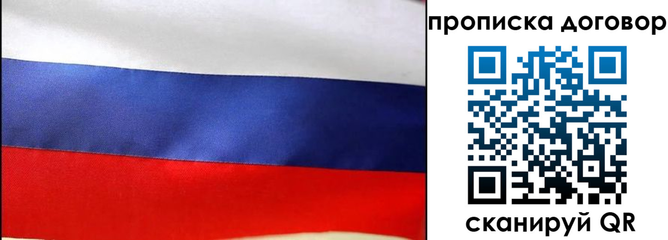 прописка гарантия в Шумихе